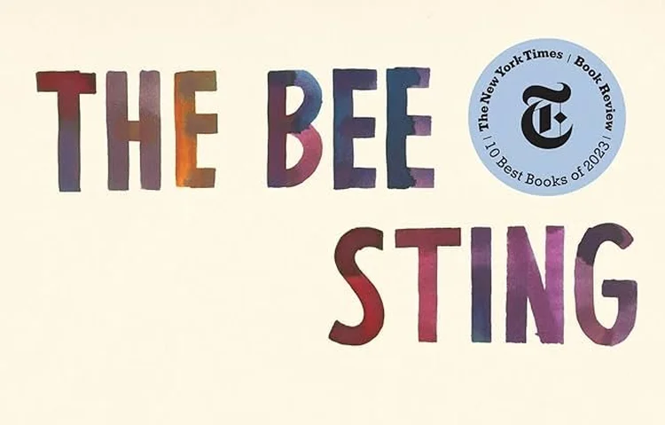 Capa do livro "The Bee Sting", de Paul Murray (Amazon/Reprodução)