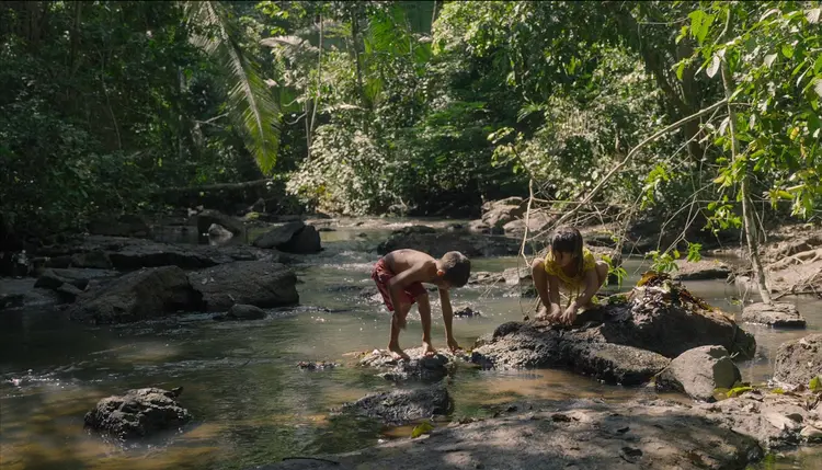 Povos indígenas: documentário expõe detalhes da luta indígena para manter a floresta em pé (The Territory/Reprodução)