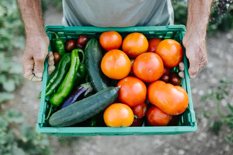 A produção de alimentos para um mundo com cada vez mais gente é um desafio global (Xavier Lorenzo/Getty Images)