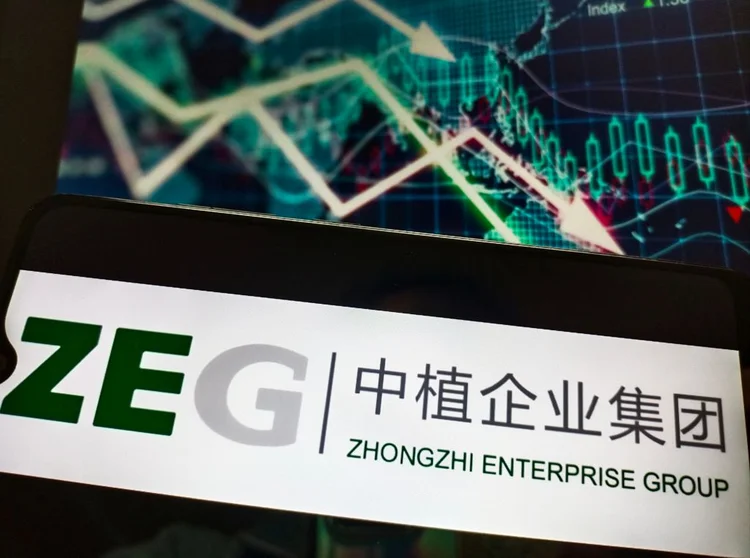 Zhongzhi Enterprise Group (CFOTO/Future Publishing/Getty Images)