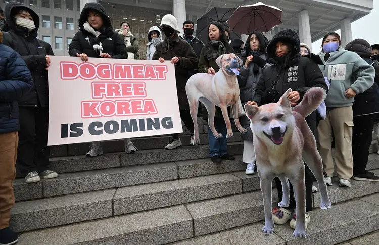 Ativistas dos direitos dos animais seguram cartazes durante um comício acolhendo um projeto de lei que proíbe o comércio de carne de cachorro na Assembleia Nacional (UNG YEON-JE/Getty Images)