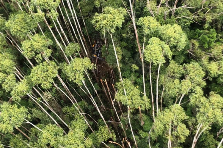 Helicóptero desaparecido: Equipe da PM, por terra, faz buscas na região. A aeronave foi localizada pelo Águia 24 (Polícia Militar /Reprodução)