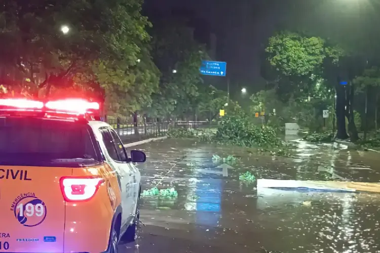 Rio Grande do Sul: o temporal teve ventos fortes e queda de granizo em Porto Alegre (Defesa Civil/Porto Alegre/Divulgação)