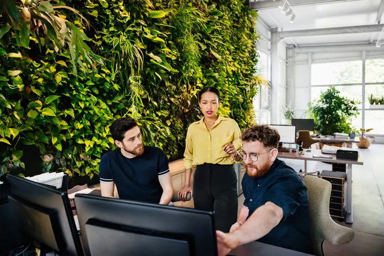 An office team working at a computer desk and sharing ideas in front of a large, leafy botanical display. (Tom Werner/Getty Images)