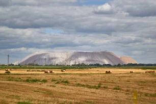 Imagem referente à matéria: Camex decide não taxar importação de fertilizante