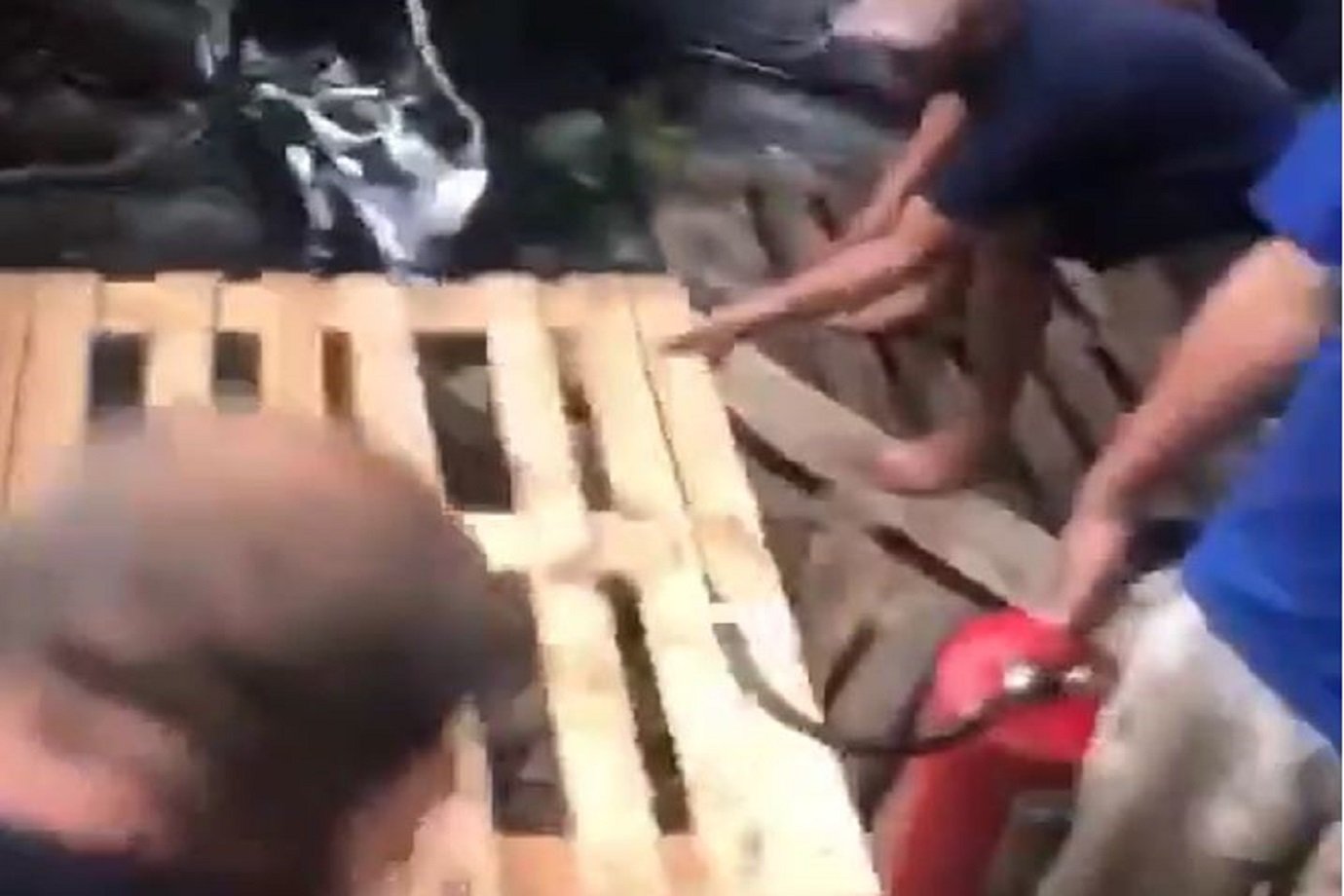 Helicóptero cai em Barueri, na Grande SP, e deixa ao menos sete feridos; veja vídeo