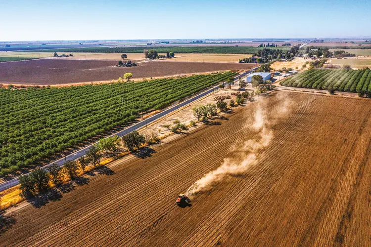 Plantação de tomate em Winters, Califórnia: estado é grande exportador agrícola para a China (David Paul Morris/Bloomberg/Getty Images)