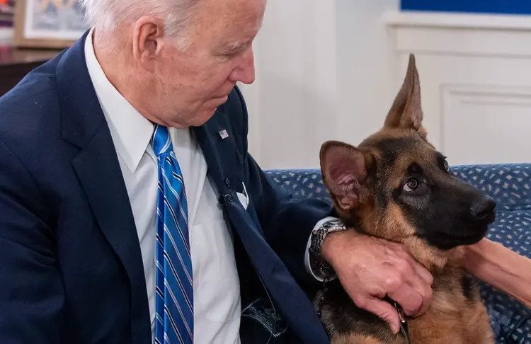 Joe Biden: cachorro da família do presidente deixou a Casa Branca no ano passado.