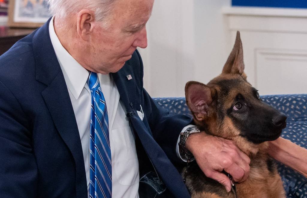 Cachorro de Biden mordeu agentes do serviço secreto 24 vezes