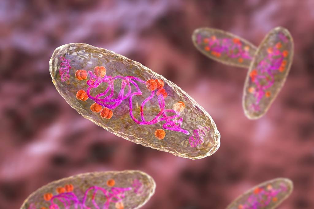 Americano é diagnosticado com peste bubônica; caso é o primeiro nos EUA em 9 anos