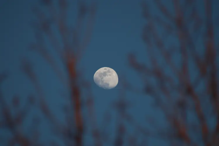 Espera-se que a Odysseus aterrisse na superfície lunar às 19h30, horário de Brasília