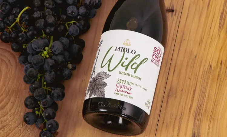 Miolo Wild Gamay 2023: vinho feito na Campanha Gaúcha. (Divulgação/Divulgação)