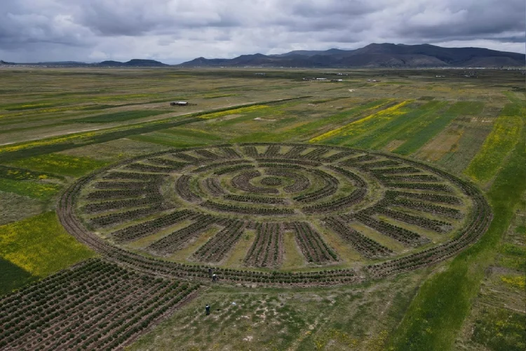 Vista aérea de técnica agrícola pré-hispânica chamada Waru Waru, em um campo no distrito de Acora, em Puno, Peru (Juan Carlos Cisneros e Carlos Mandujano /AFP Photo)