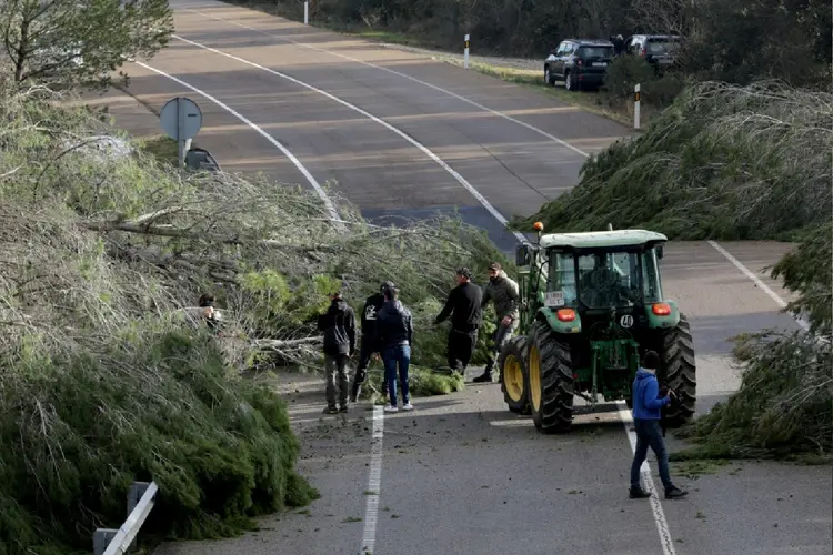 Agricultores bloqueiam com árvores rodovia N2, perto da estrada A7, que conecta Espanha e França, em 27 de fevereiro de 2024 na localidade espanhola de Pontós (AFP)