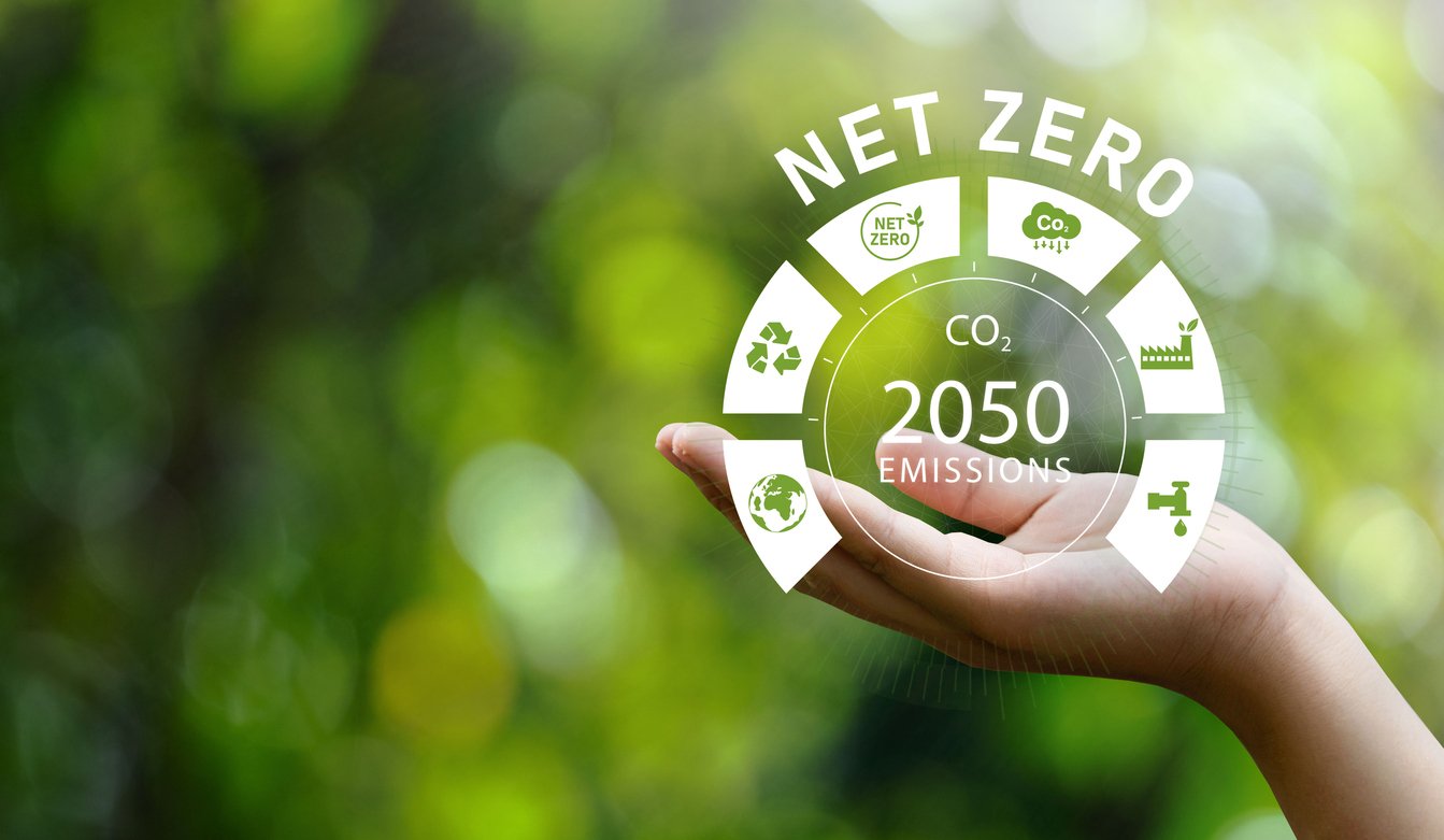 Net Zero o que é e por que a sua empresa precisa se importa