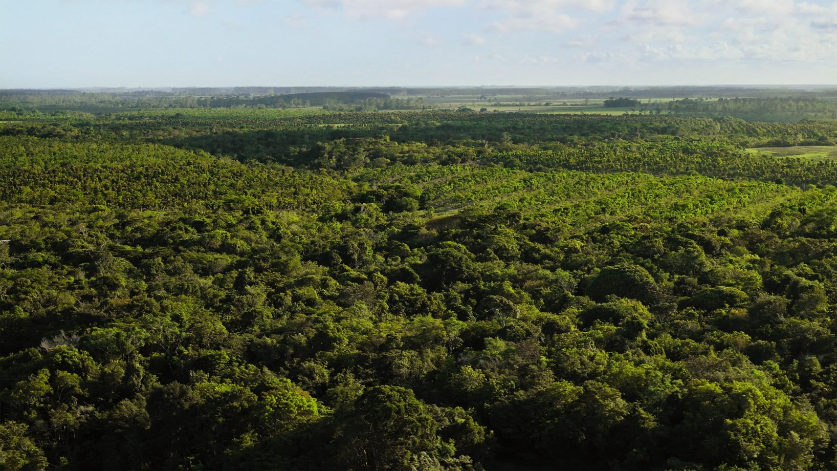 Fundo ambiental liderado pela Apple atinge US$ 280 milhões