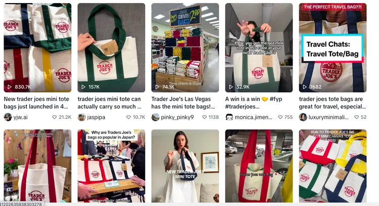 TikTok: rede social impulsionou a febra da mini ecobag de supermercado (Reprodução / TikTok)