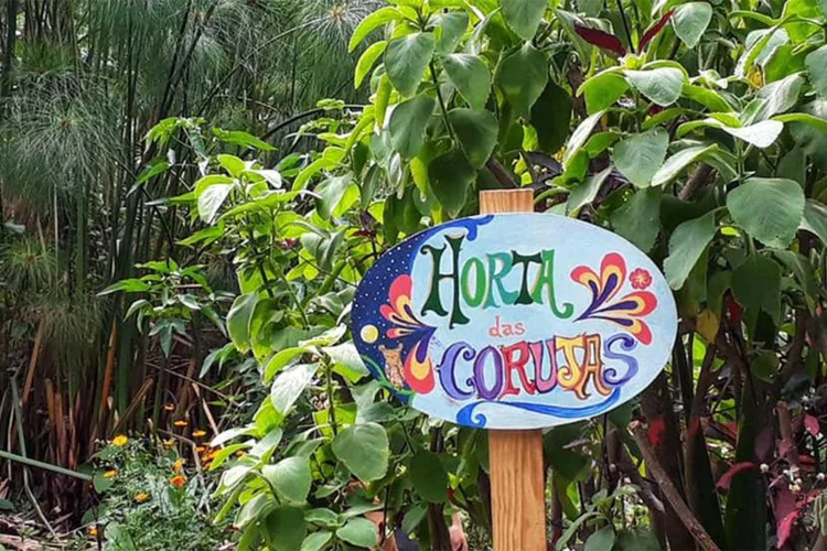Localizada na Vila Beatriz, na zona oeste de São Paulo, a Horta das Corujas oferece oficinas educativas, se dedica ao cultivo de Plantas Alimentícias Não Convencionais (PANCs) e possui um meliponário. (JBS/Divulgação)