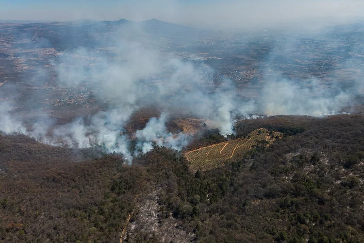 Incêndio em floresta de Cerro del Aguila, no México (	ENRIQUE CASTRO /Getty Images)