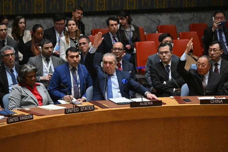 Conselho de Segurança da ONU, em Nova York (EUA) (Angela Weiss/AFP Photo)