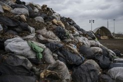 Bolsas cheias de folhas e restos orgânicos empilhadas no centro de compostagem de Staten Island da Cidade de Nova York, em 4 de janeiro de 2024