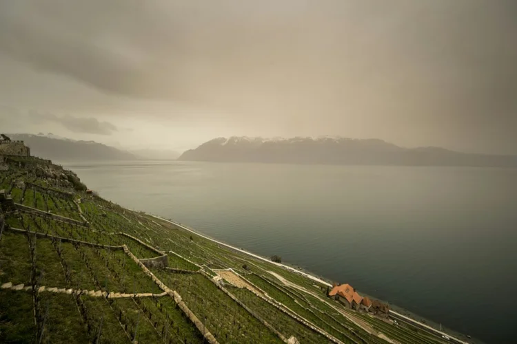 Imagem de 30 de março de 2024 mostra a nuvem de poeira vinda do Saara sobre os vinhedos de Lavaux, às magens do lago Léman, na Suíça (AFP)