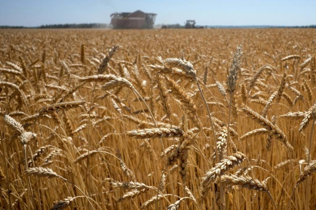 UE propõe implementar tarifas 'proibitivas' para cereais russos