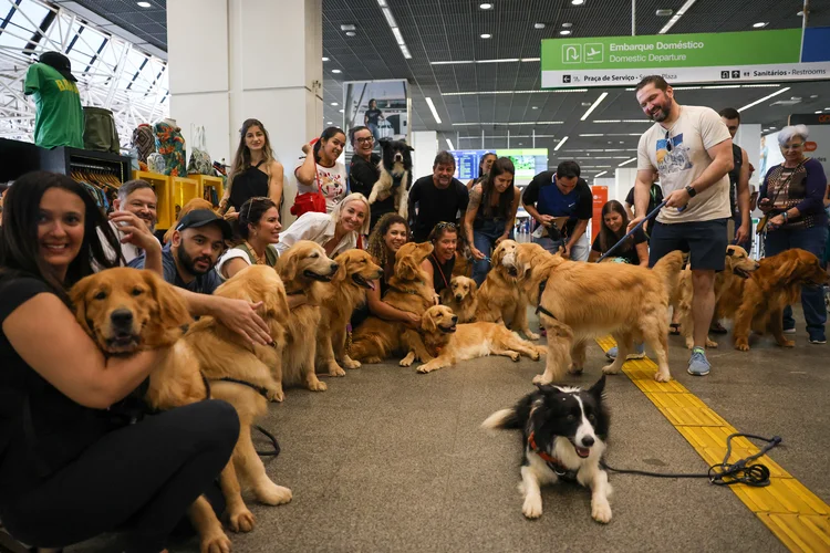 Tutores de pets fazem protesto no Aeroporto Juscelino Kubitschek de Brasília cobrando justiça pela morte do Golden Retriever Joca, durante viagem aérea (Fabio Rodrigues-Pozzebom/Agência Brasil)