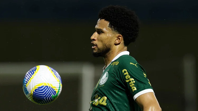 Veja como assistir ao jogo do Palmeiras hoje (Cesar Greco/ Palmeiras/Reprodução)