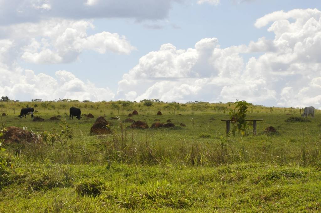 Emissões de gases de efeito estufa diminuem com a agricultura climaticamente inteligente