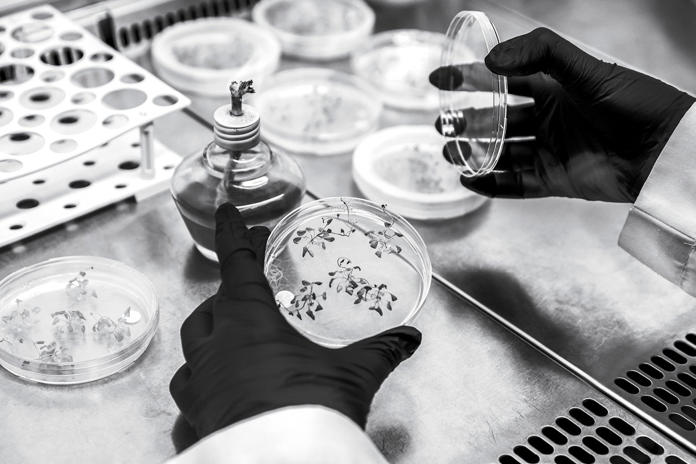 Técnica pioneira no Reino Unido impede transmissão de doenças hereditárias em oito bebês