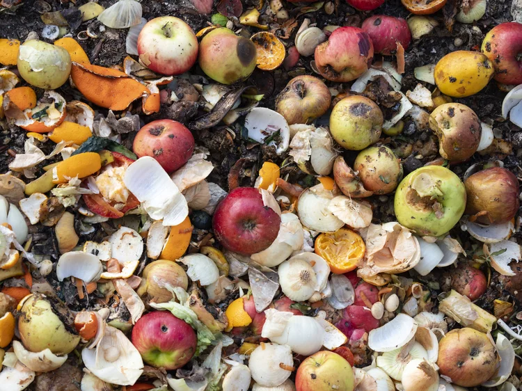 No Brasil, mais de R$1,3 bilhão em frutas, legumes e verduras vão das prateleiras dos mercados para o lixo todos os anos, segundo a Associação Brasileira da Indústria de Alimentos (ABIA). (Jose A. Bernat Bacete/Getty Images)