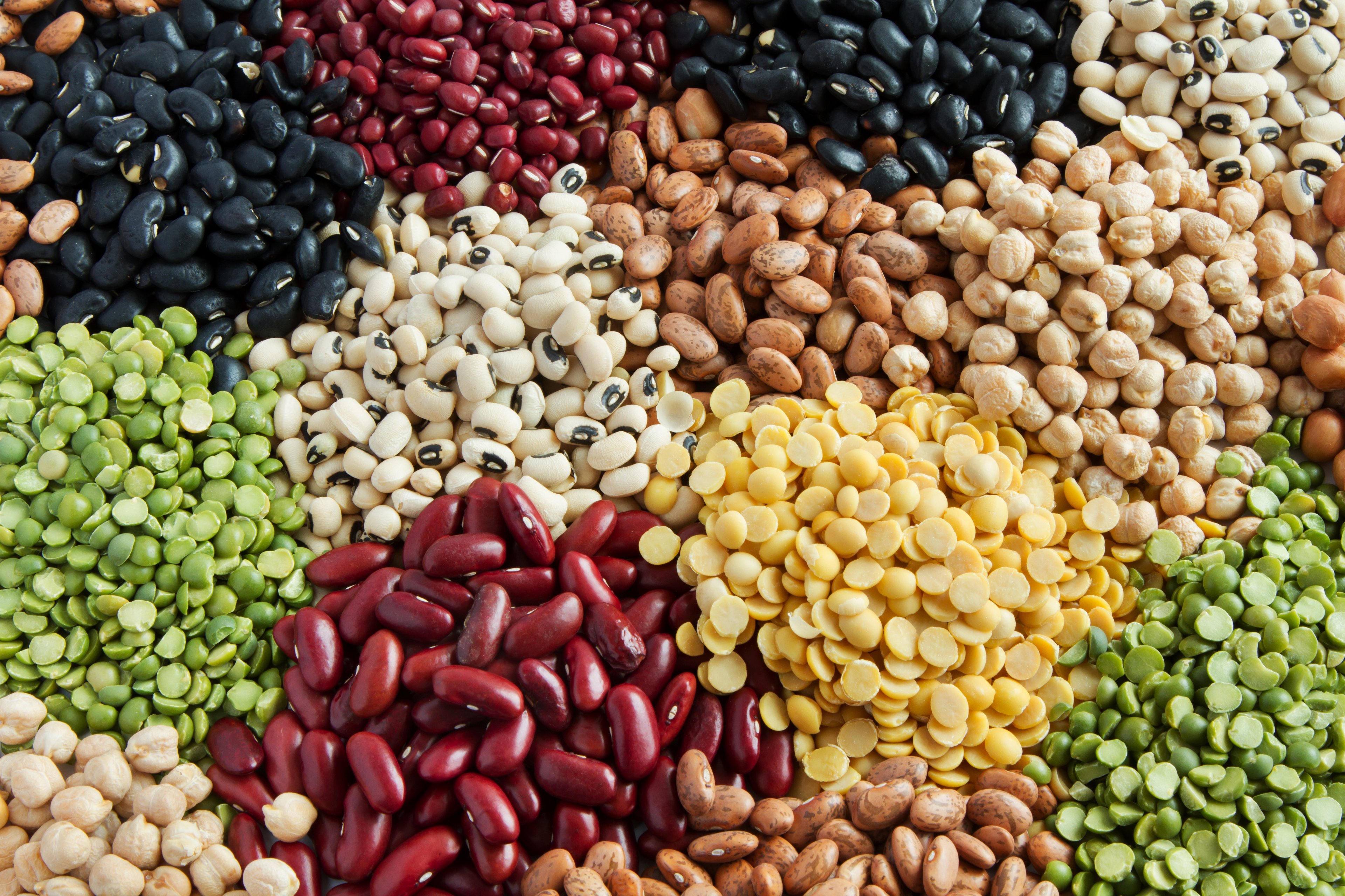 Pulses: conheça os superalimentos que contribuem para a segurança alimentar e o meio ambiente