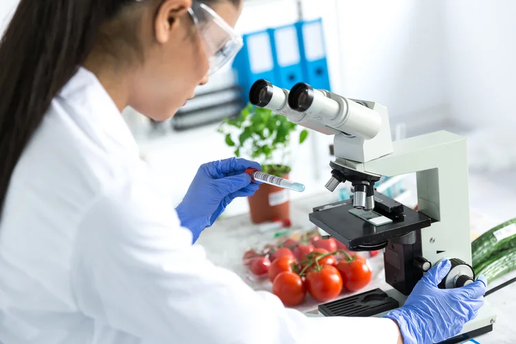 O tecnólogo de alimentos é o profissional que dá início ao desenvolvimento da carne vegetal texturizada, determinando os ingredientes ideais, formulações e otimizando parâmetros para obter a textura ideal da comida. (valentinrussanov/Getty Images)