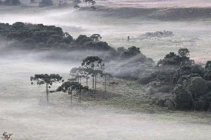 Após chuvas, Rio Grande do Sul e Santa Catarina podem enfrentar neve, prevê Inmet