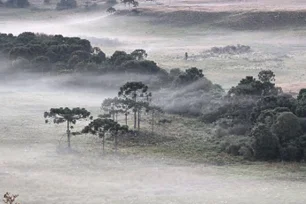 Imagem referente à matéria: Santa Catarina e Rio Grande do Sul têm previsão de neve para o fim de semana