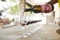 Imagem referente à notícia: Os melhores vinhos tintos e brancos do Brasil, eleitos por grande concurso mundial