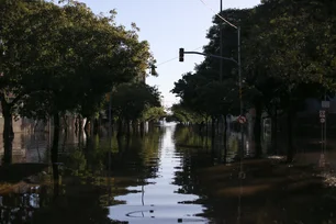 Imagem referente à matéria: Enchente atingiu 71% das árvores no centro de Porto Alegre e 10% morreram, revela estudo