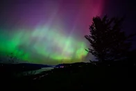Imagem referente à notícia: Tempestade solar 'extrema' causa auroras polares espetaculares neste fim de semana