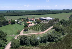 Bayer inaugura fazenda-modelo em SP com foco em regeneração do solo