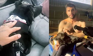 Imagem referente à matéria: Pedro Scooby vai adotar cachorro que resgatou nas enchentes do RS: "conexão"