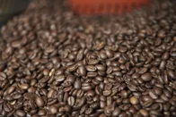 Imagem referente à notícia: Mapa divulga lista de marcas de café impróprias para consumo; veja quais