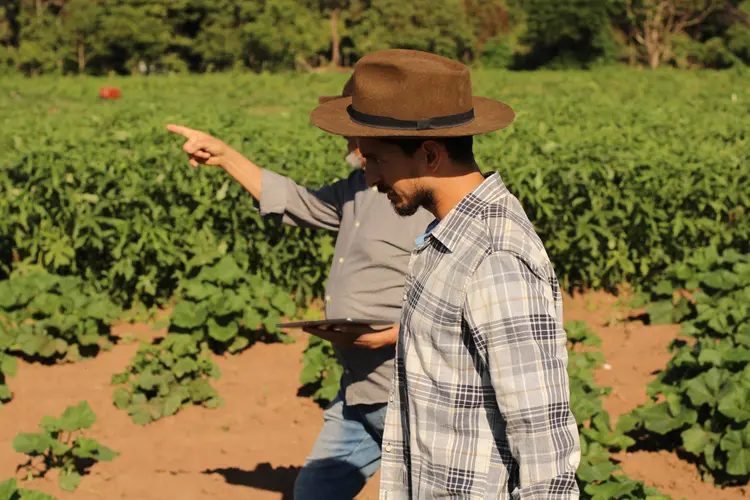 Modelo proposto adota princípios ecológicos na organização dos sistemas alimentares, abrangendo todas as etapas, desde a produção até o consumo. (Elpidio Costa Junior/Getty Images)