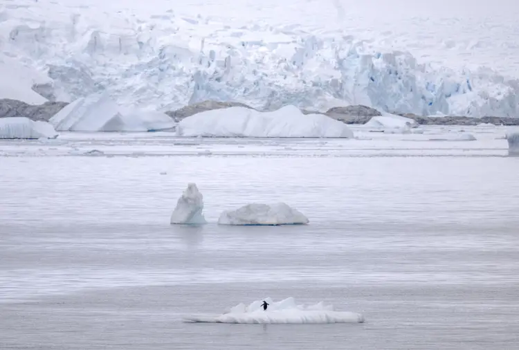 O Glaciar Thwaites, localizado na Antártica Ocidental, é o maior glaciar do mundo. (Anadolu/Getty Images)