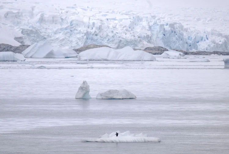 O Glaciar Thwaites, localizado na Antártica Ocidental, é o maior glaciar do mundo. (Anadolu/Getty Images)