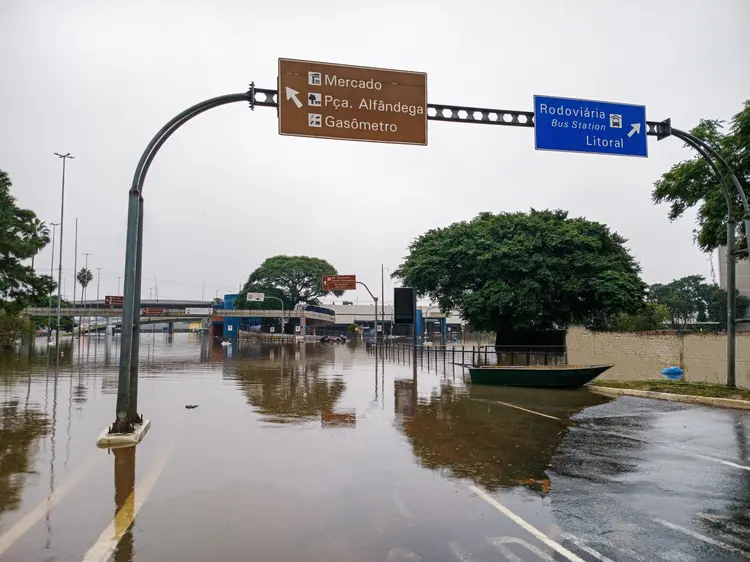 Asfalto: peixes de diversas espécies foram parar nas ruas; com baixa da água, mortes devem aumentar