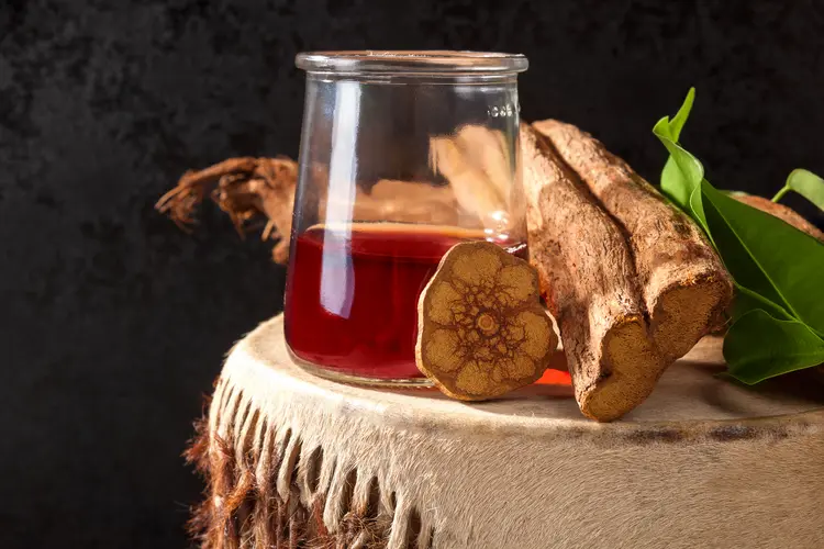Apropriação: em alguns países, a ayahuasca, que já é vendida em cápsula, se tornou uma lucrativa indústria do turismo psicodélico (Getty Images)