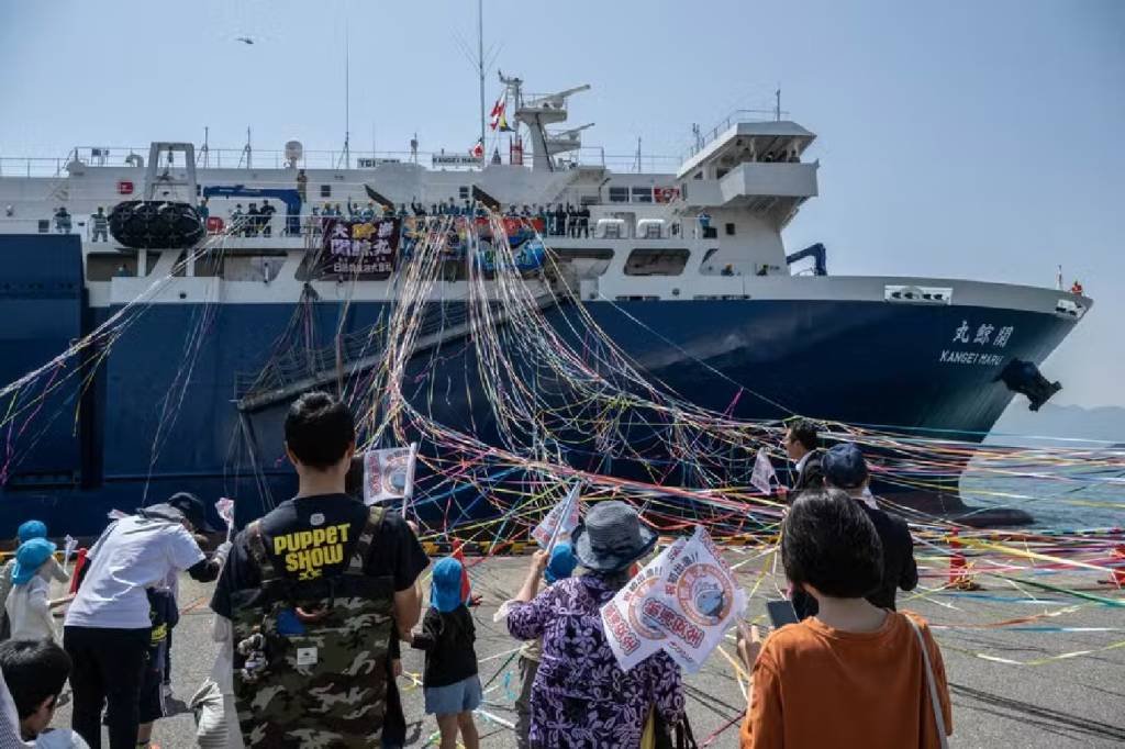 Em guerra com os ambientalistas, Japão lança novo 'navio-mãe' de caça às baleias