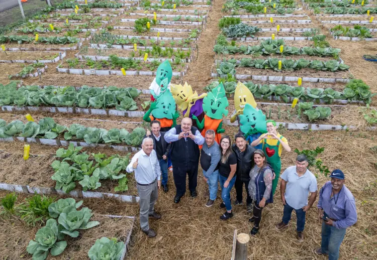 170º horta urbana de Curitiba: Com uma área total de cerca de 3.400 metros quadrados, a horta comunitária Dembinski II abriga 103 canteiros dedicados ao cultivo de diversos produtos agrícolas. (Ricardo Marajó/SMCS/Divulgação)