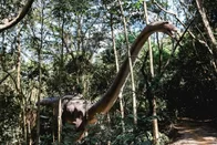 Imagem referente à notícia: 'Jurassic Park' brasileiro tem 40 dinossauros em tamanho real